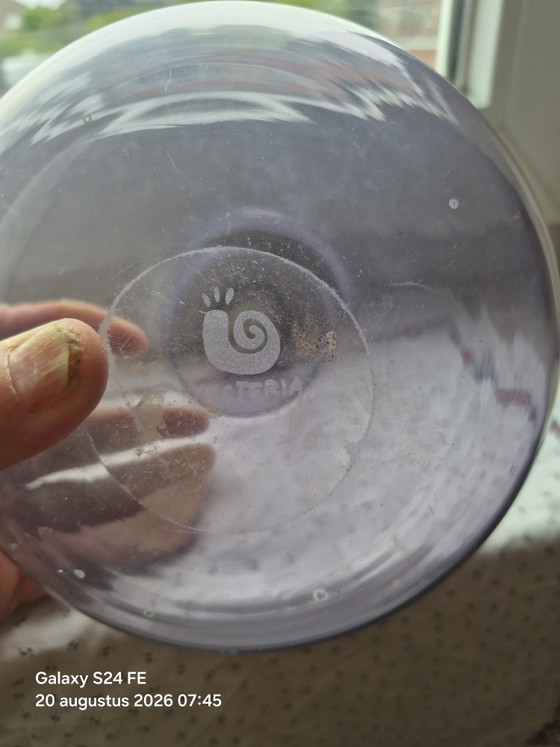 Hysteria vase – Glass (photo 3 of 5)