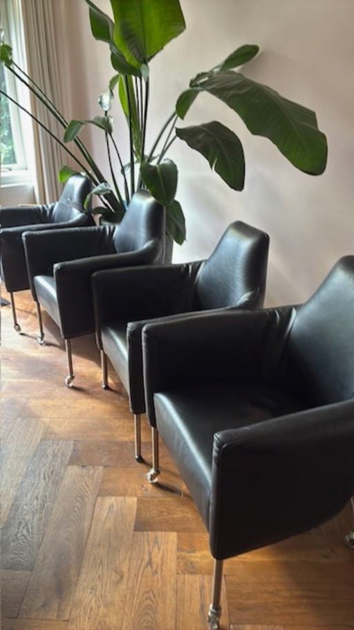 Plantation dining chairs – Bert Plantagie, eetkamerstoelen, Leather, Metal