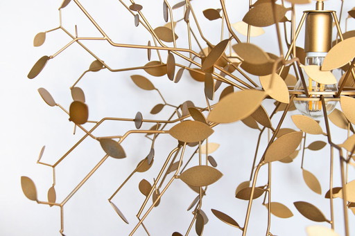 Indian Summer Big Gold