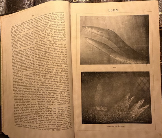 Image 1 of Winkler Prins Illustrated Encyclopedia (1905–1912)