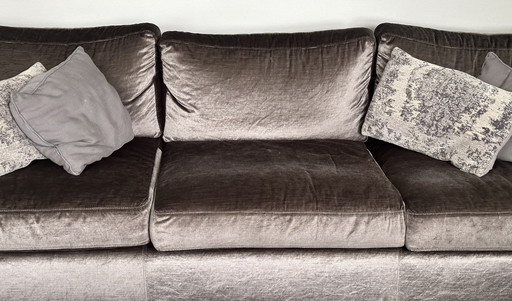 Macazz velvet velvet sofa