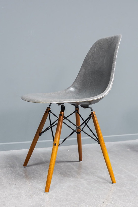 Image 1 of Sedie Eames DSW Elephant in fibra di vetro grigia, 6x