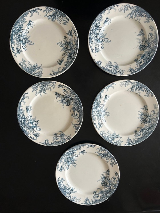 Image 1 of 13 Louis Graves Terre de Fer dinner plates