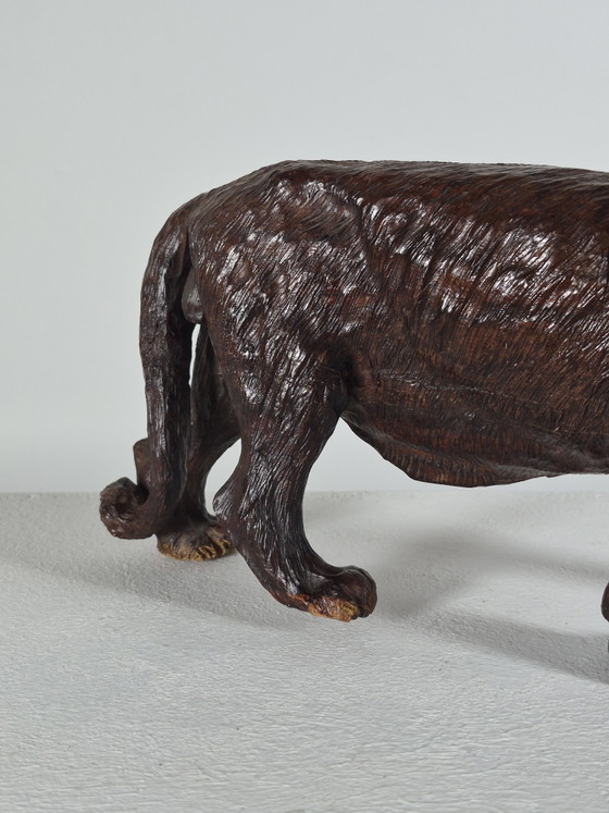 Antieke handgesneden Afrikaanse hardhouten sculptuur, dierenbeeldje: leeuw – Beeldhouwkunst, Wood (photo 10 of 15)