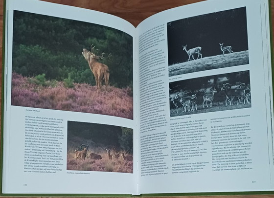 Paysages Néerlandais | Delta, Photos Aériennes, Vie Rurale & Hoge Veluwe | 4 Livres | 083 – Livres d'art (photo 7 of 9)