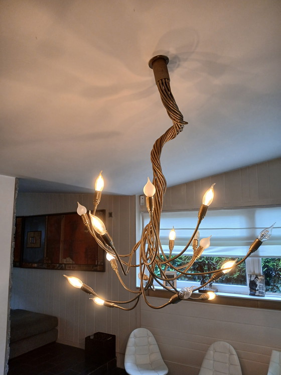 Image 1 of Luster Catelani & Smith