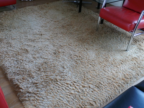 Image 1 of Karpet Danskina