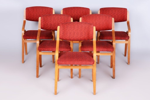 Ensemble de six chaises originales de style Mid-Century, par Ludvik Volak, en érable, République tchèque, années 1960