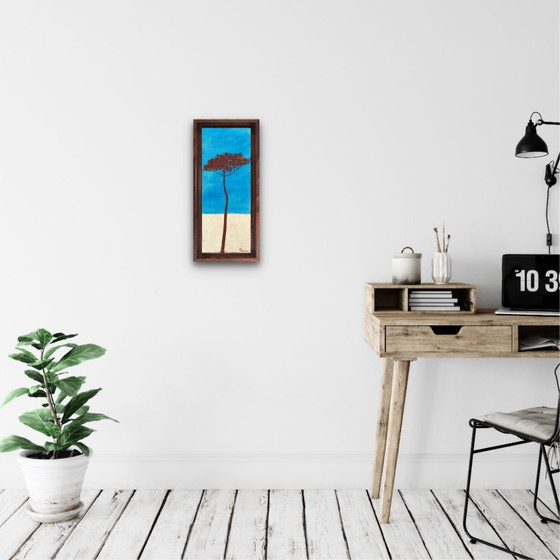 Image 1 of Umbrella pine 50x20cm