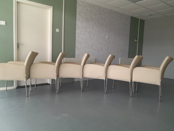 Image 1 of Plantagie Leer wit 6 stuks