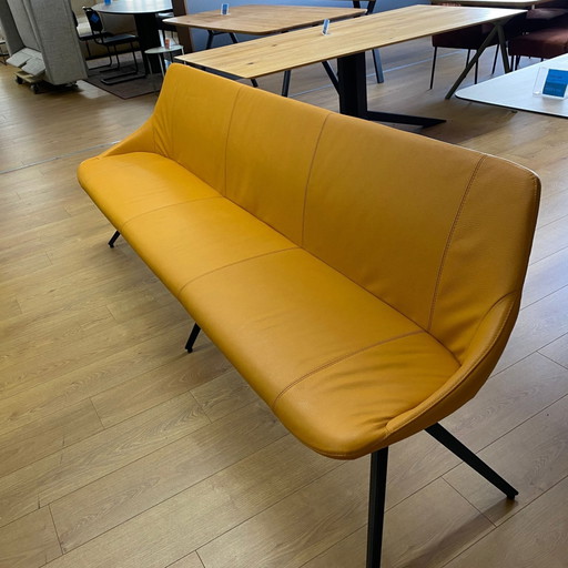 Banc de salle à manger en érable