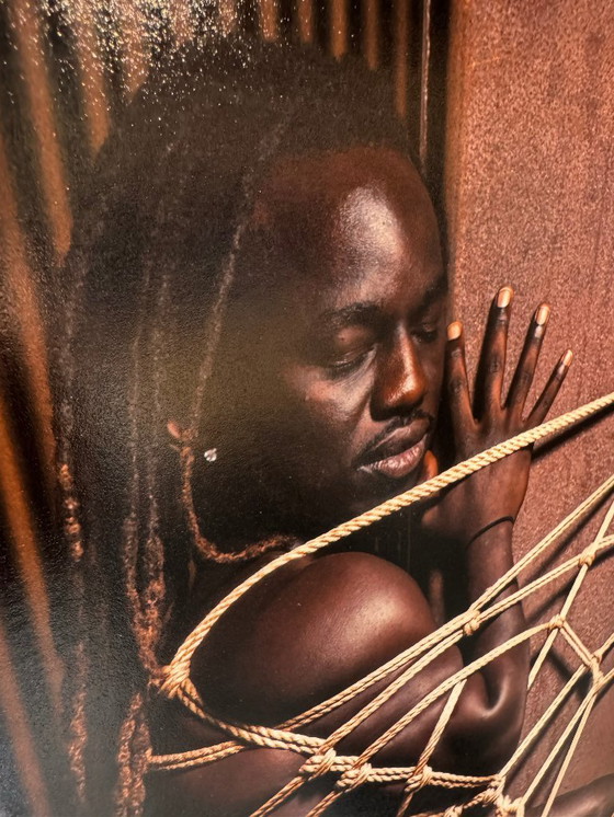 Image 1 of Atrapado en la red - Dirty Archangel