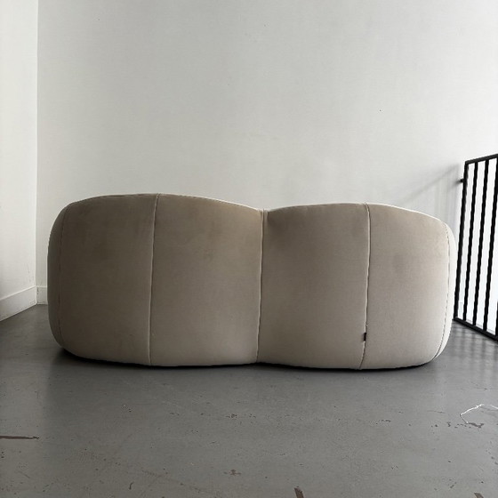 Sofa „Pumkin“ von Pierre Paulin für Ligne Roset – 2 Sitzer Sofas, Velvet (photo 7 of 13)