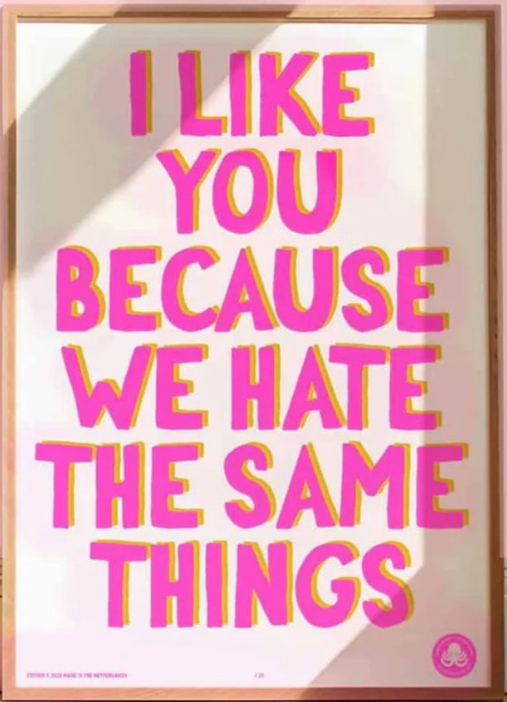 I Like You Because We Hate The Same Things – Poster, Paper (photo 3 of 5)