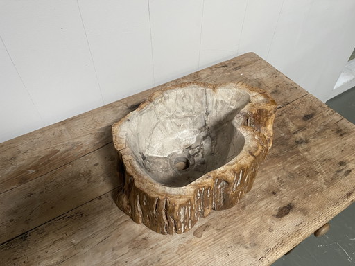 Lavabo en bois fossilisé. Bois fossilisé – decoratie, Stone, Wood
