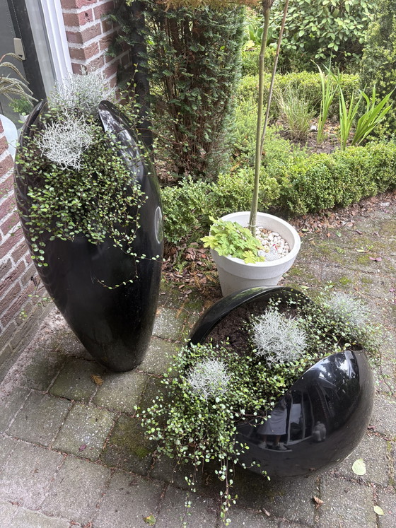 Designer-Hochglanztöpfe – Pflanzkübel, Other (photo 7 of 9)