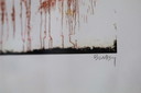 Ingekaderde Offset Lithografie Van Banksy