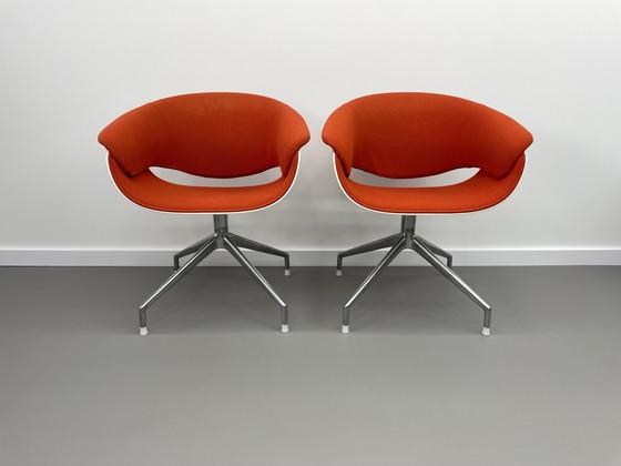 Image 1 of B&B Italia  Sina kuipstoel 4 stuks