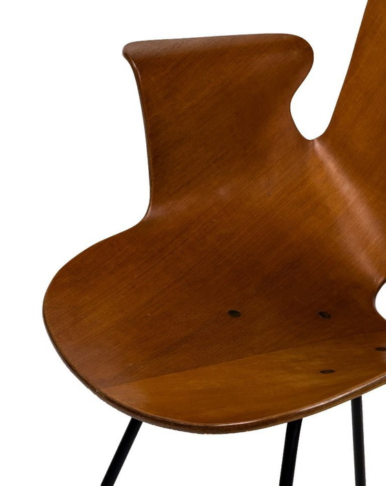Image 1 of 2 sedie Medea vintage in legno curvato di Vittorio Nobili, Italia anni '50