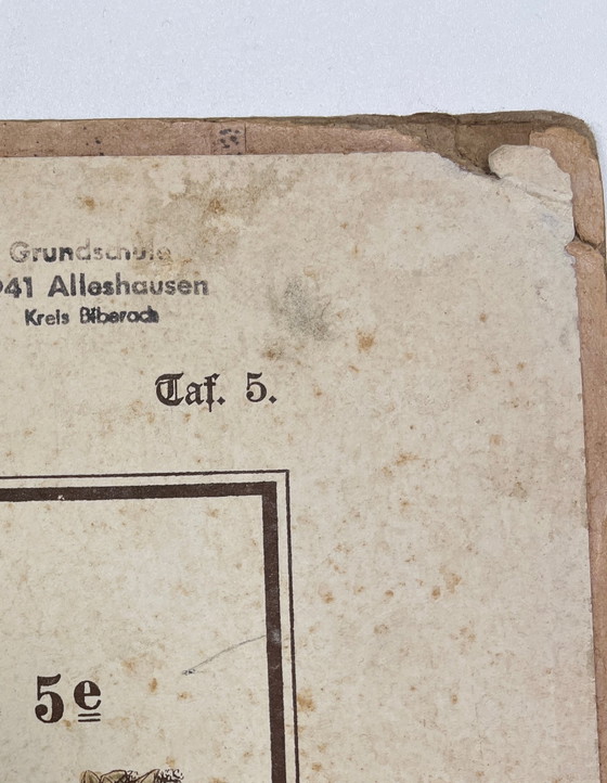 Image 1 of Pannello didattico, pannello scolastico, pannello espositivo, litografia, probabilmente intorno al 1900 - 64 cm