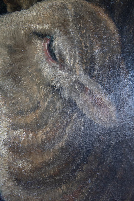 Image 1 of Oil painting – two sheep
