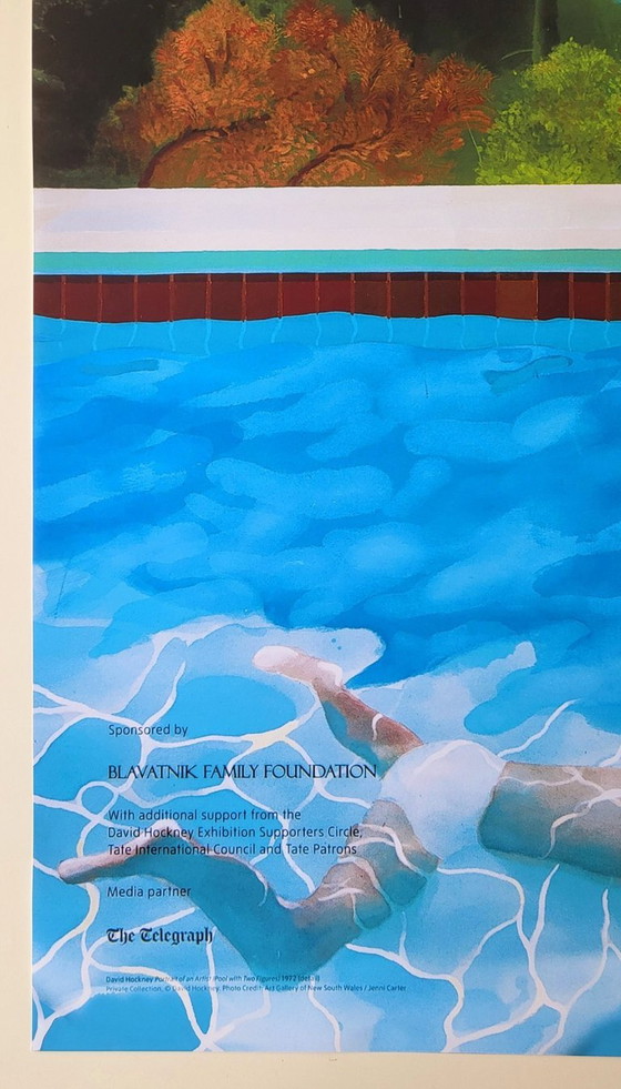 David Hockney - 60 years of Work – Posters, Paper (photo 4 of 6)