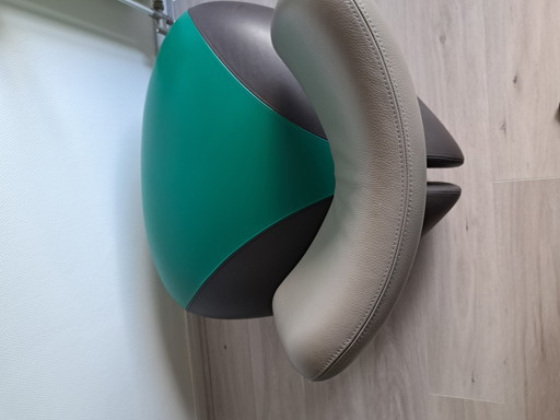 Leolux Pallone Silber, Schwarz und Grün