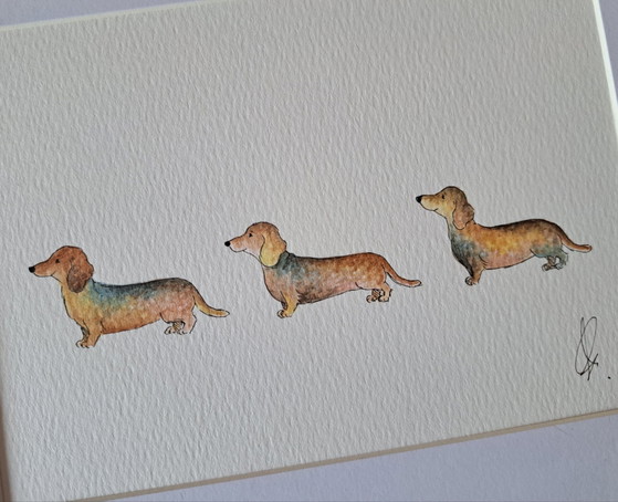 Original Aquarell Teckel | Mit Rahmen – Gemälde & Zeichnungen, Papier (photo 5 of 5)