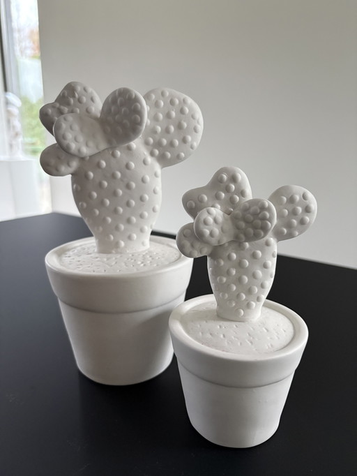 Set of two cacti, rough ceramic