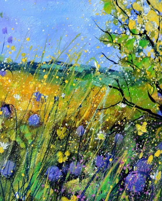 Image 1 of fiori estivi