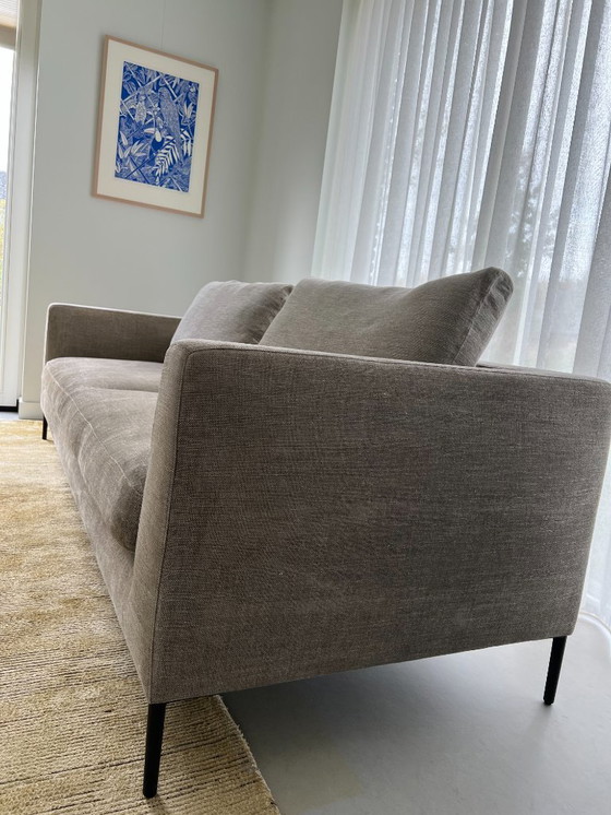 Image 1 of Montis Daley Soft Bank