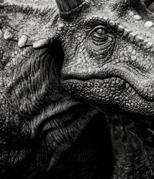 Image 1 of Jurassic Tenderness