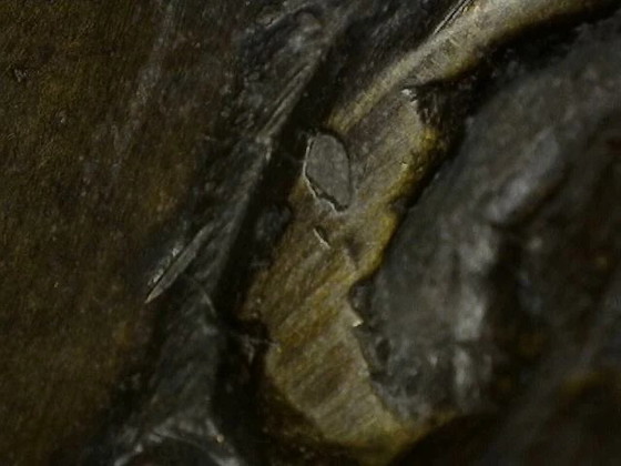 Antieke bronzen Vishnu buste met kroon – kavel 135 – Beeldhouwkunst, Gold (photo 13 of 18)