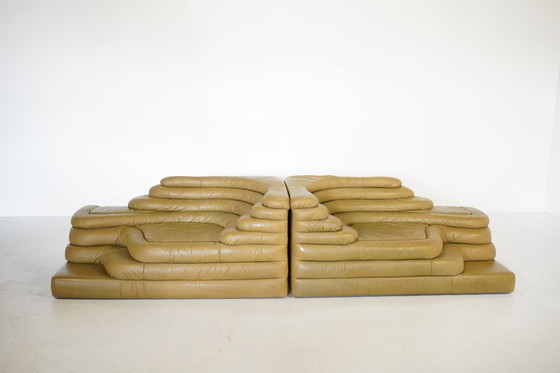 Image 1 of Two DS1025 ‘Terrazza’ Landscape Elements by Ubald Klug for De Sede 1970s