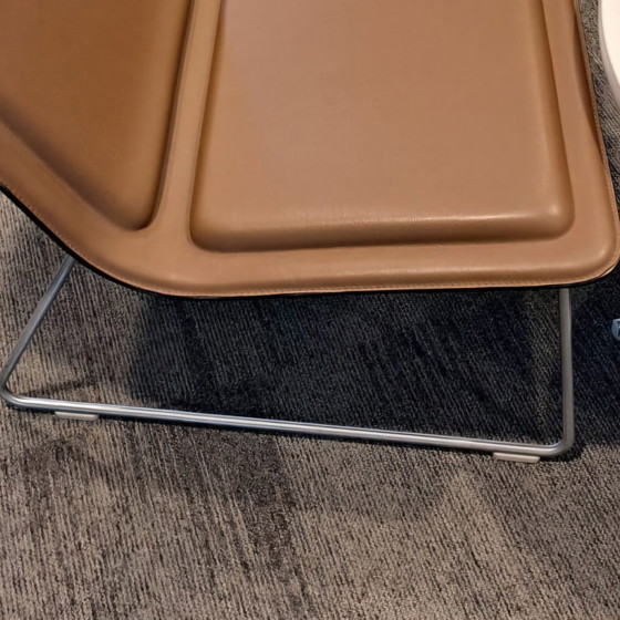 Image 1 of 3x Poltrone basse Cappellini