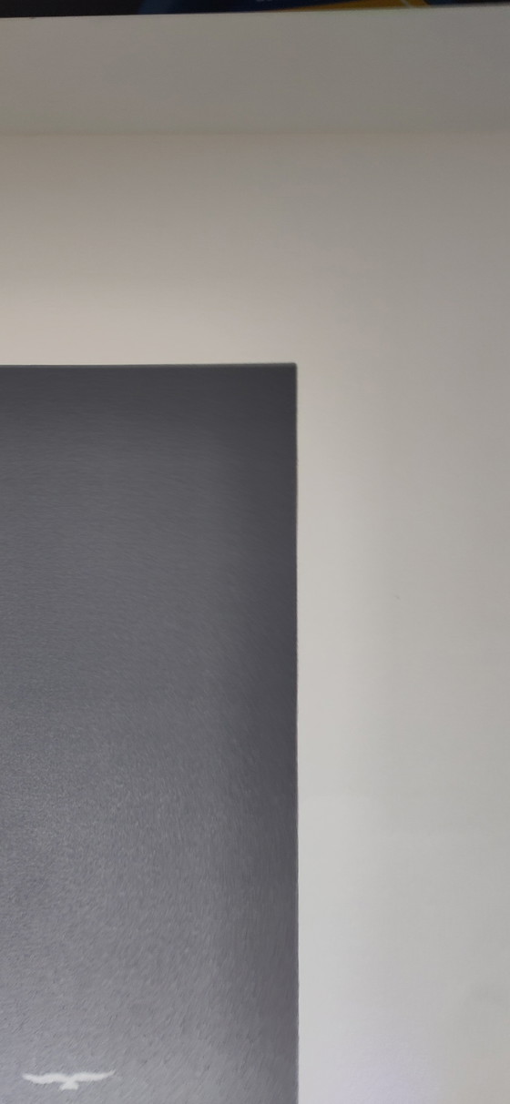 Image 1 of Gelimiteerde lithografie Vrijheidsbeeld van Michel Dubrel