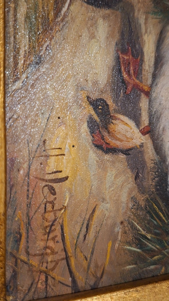 Image 1 of Topstuk: Authentieke Jan Hendrik Verburgh – "Familie Eenden" – Monumentale 19e-eeuwse Biggs & Sons Lijst