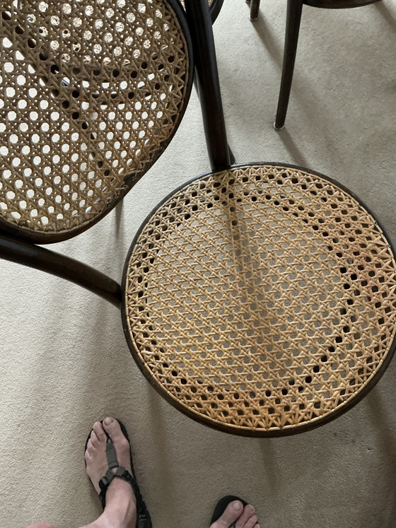 Cuatro sillas Thanet de Italcomma – Sillas de comedor, Rattan, Wood (photo 4 of 5)
