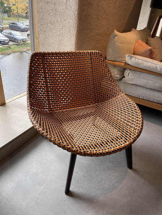 Image 1 of 2x Mbrace clubstoel van Dedon GmbH (prijs per stuk)