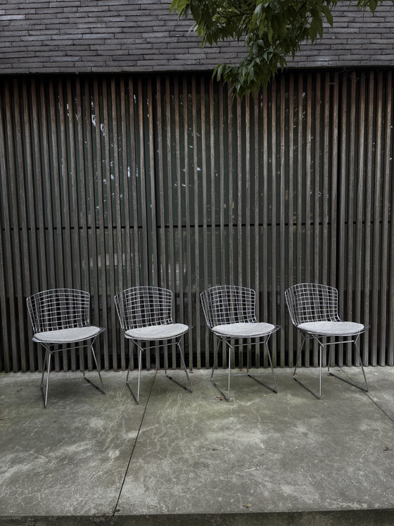 4x Bertoia Wire Side Chair Outdoor - Knoll – Sedie da giardino, Cromo (photo 5 of 6)