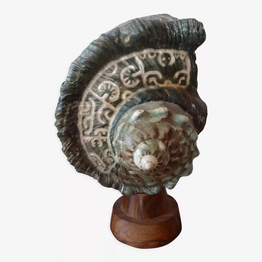 Schelp lamp