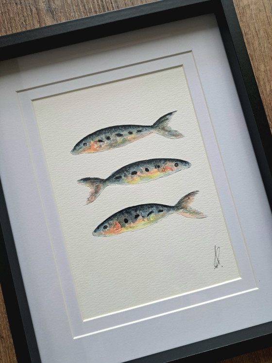 Original Sardine Watercolor Painting | Includes Frame – Paintings & Drawings, Paper (photo 2 of 5)