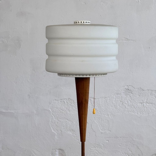 PZM Polish Mid-Century Standing Lamp, 1960