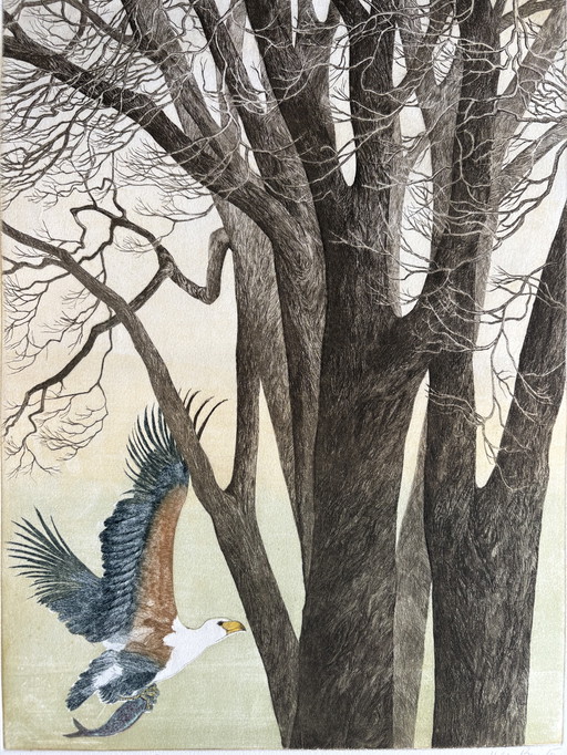 Hilda Bernstein Fish Eagle etching 27/100 signed