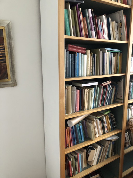 Ikea boekenkast 320 b x 235 h