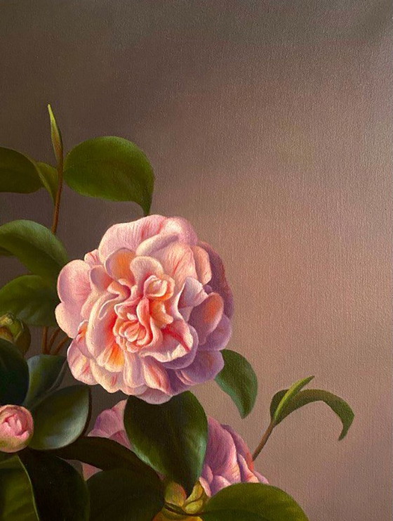 Original Oil Painting Camellia Flower – Paintings & Drawings, Canvas (photo 3 of 6)