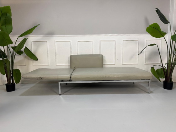Image 1 of Divano letto Chaise Longue in Pelle Grigia Brühl Roro Small Designer