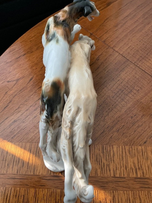 Beautiful greyhounds marked