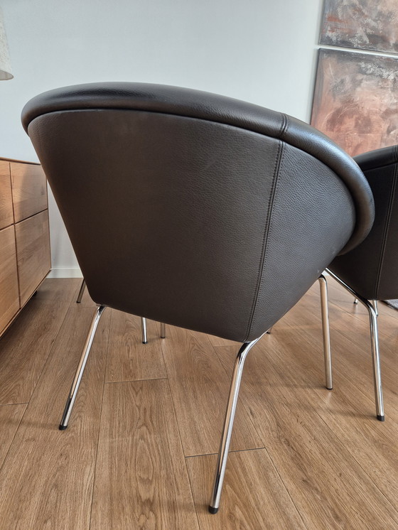 Image 1 of 6 Poltrona di design Walter Knoll 369 in pelle nera