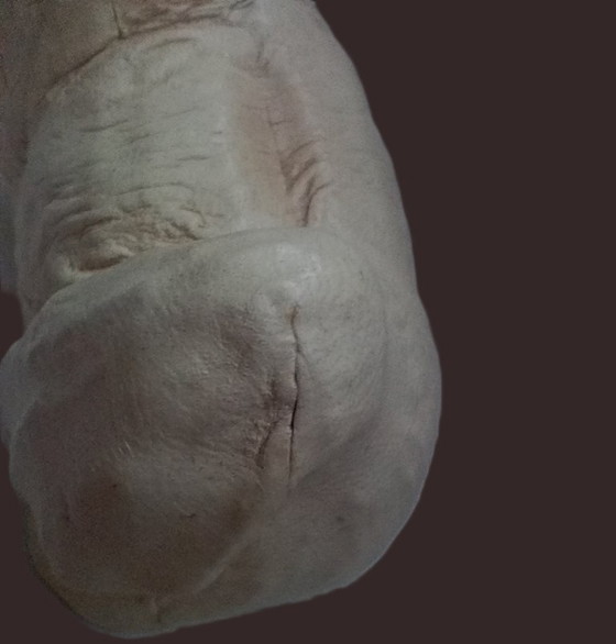 Image 1 of Shih Tzu in pelle artigianale di metà secolo – "Chateau Leather" (Canada)